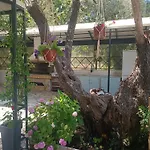 Casa Trizoni Nikiana