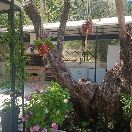 Casa Trizoni 尼基亚娜