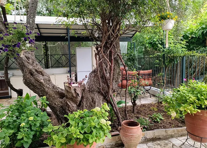 Casa Trizoni דירה *