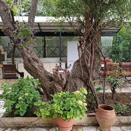 Casa Trizoni Apartman *
