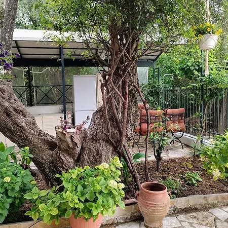 Casa Trizoni Apartman *